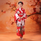 Kleidung Großhandel - Import & Export > Japanisch Kimono ( Lang ) Großhandel