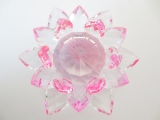 Kristalllotusblüte rosa groß