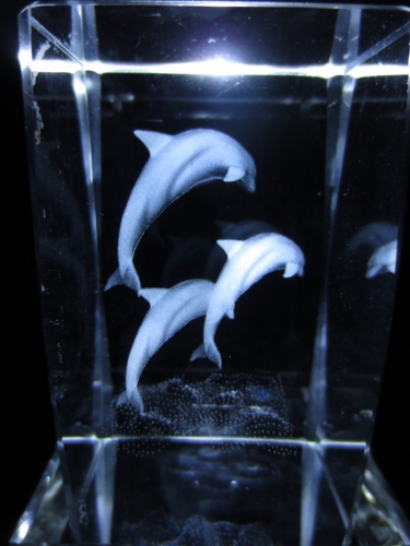 3D Laserblock 3 Delfinen springen