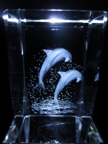 3D Laserblock 2 Delfinen springen
