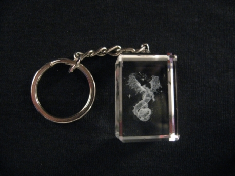 Kristallener Schlüsselanhänger Drachen (12 Stücke)