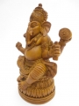 Braun Ganesha Große II