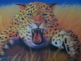 böser Leopard