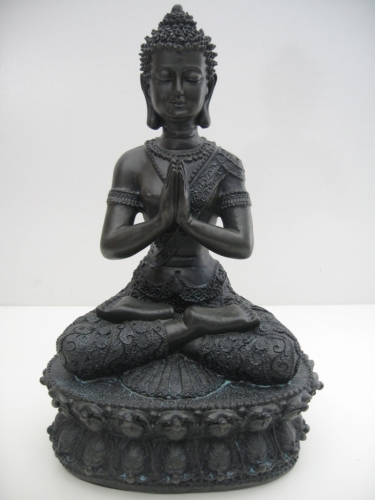 Tibetaans Boeddha (zwart)