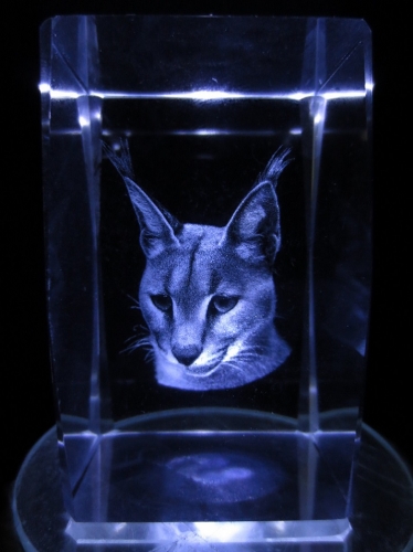 3D Kopf einer Katze 5x8