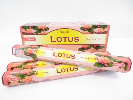 Tulasi Lotus