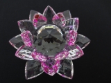 Kristalllotusblüte lila groß