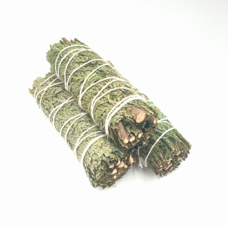 Großhande - Cedar Salbei Smudge 25-30 gram