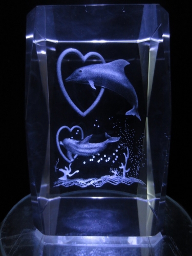 3D Küssende 2 Delfine mit herz
