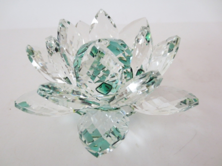 Kristalllotusblüte grün groß