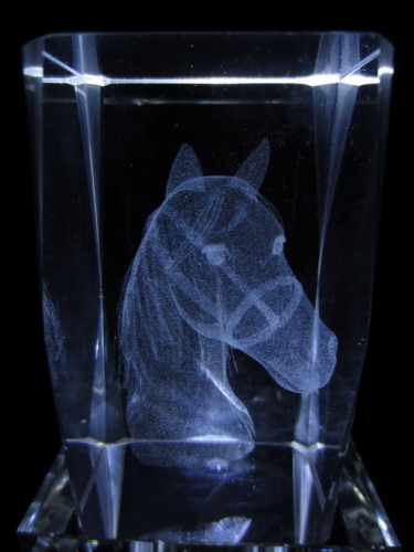 3D Laserblock mit Pferdekopf