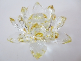 Kristalllotusblüte gelb groß