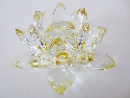Kristalllotusblüte gelb groß